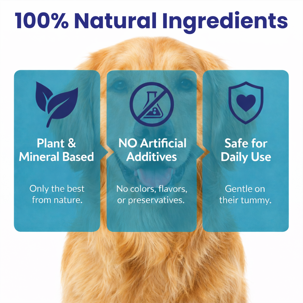 Dental Pets™ | Natural Cleaning Powder