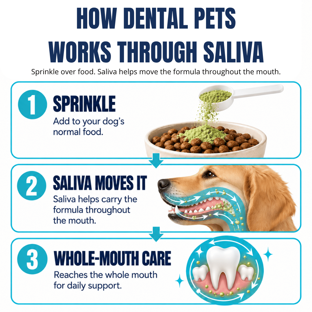 Dental Pets™ | Daily Dental Powder