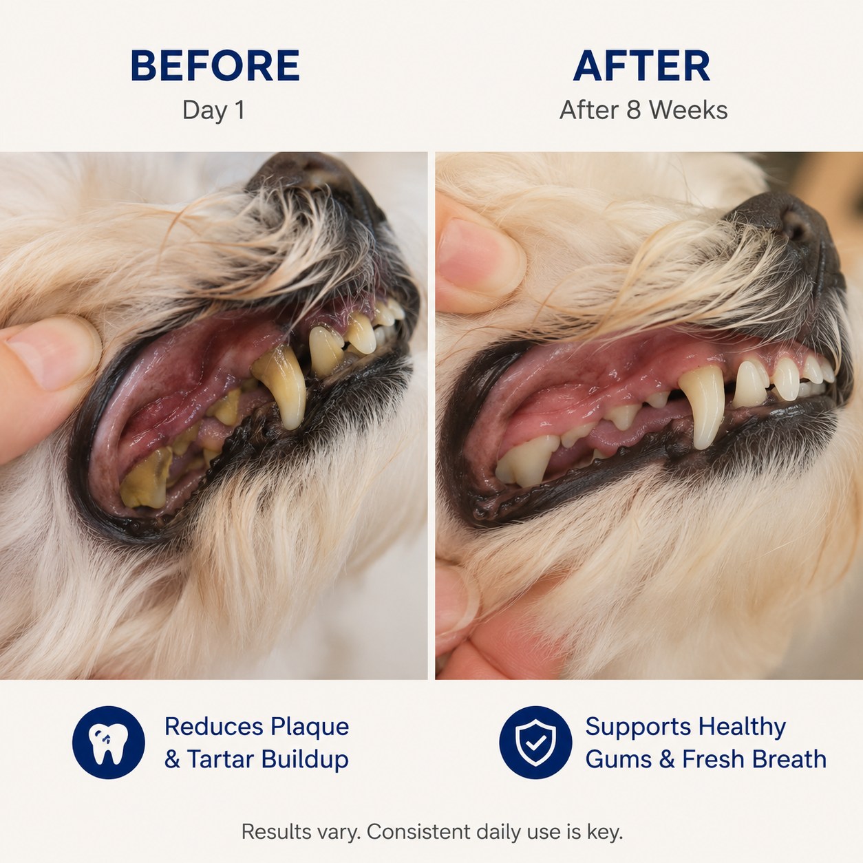 Dental Pets™ | Daily Dental Powder