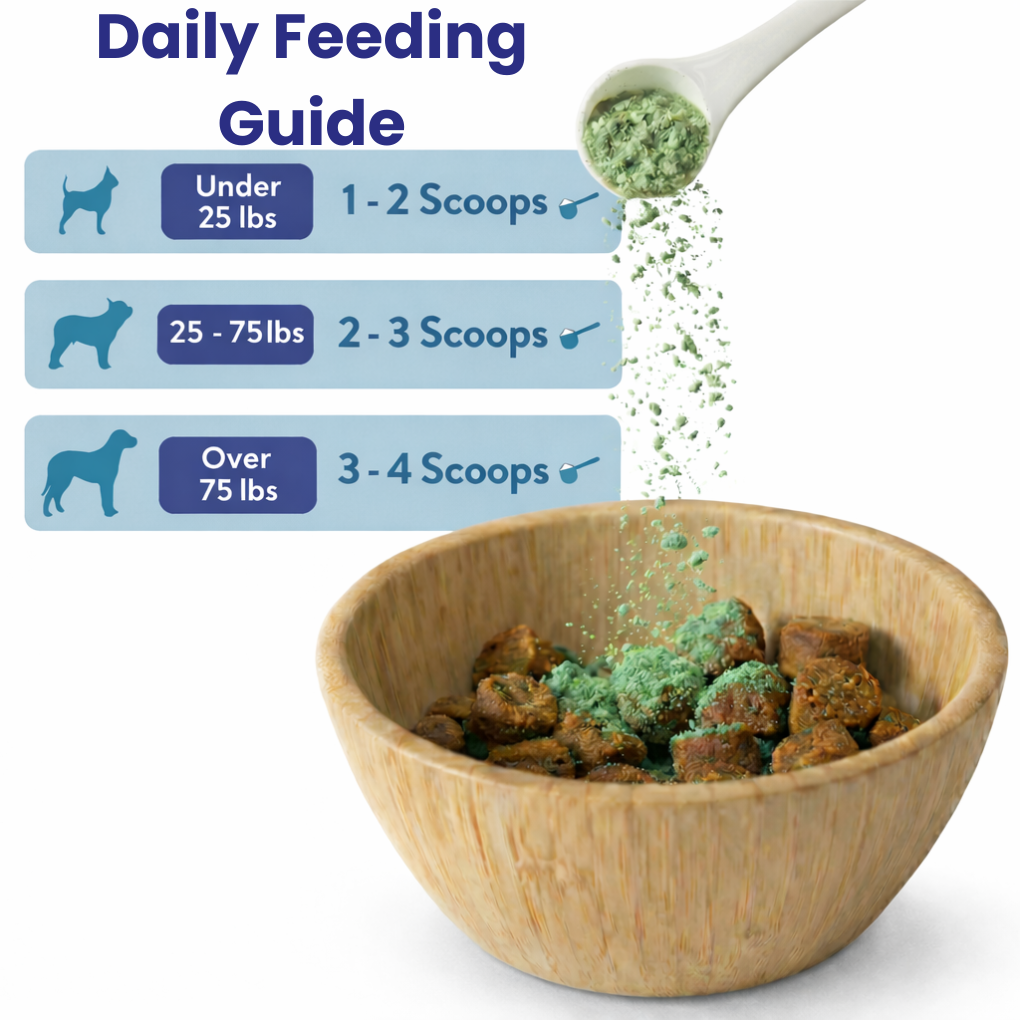 Dental Pets™ | Natural Cleaning Powder