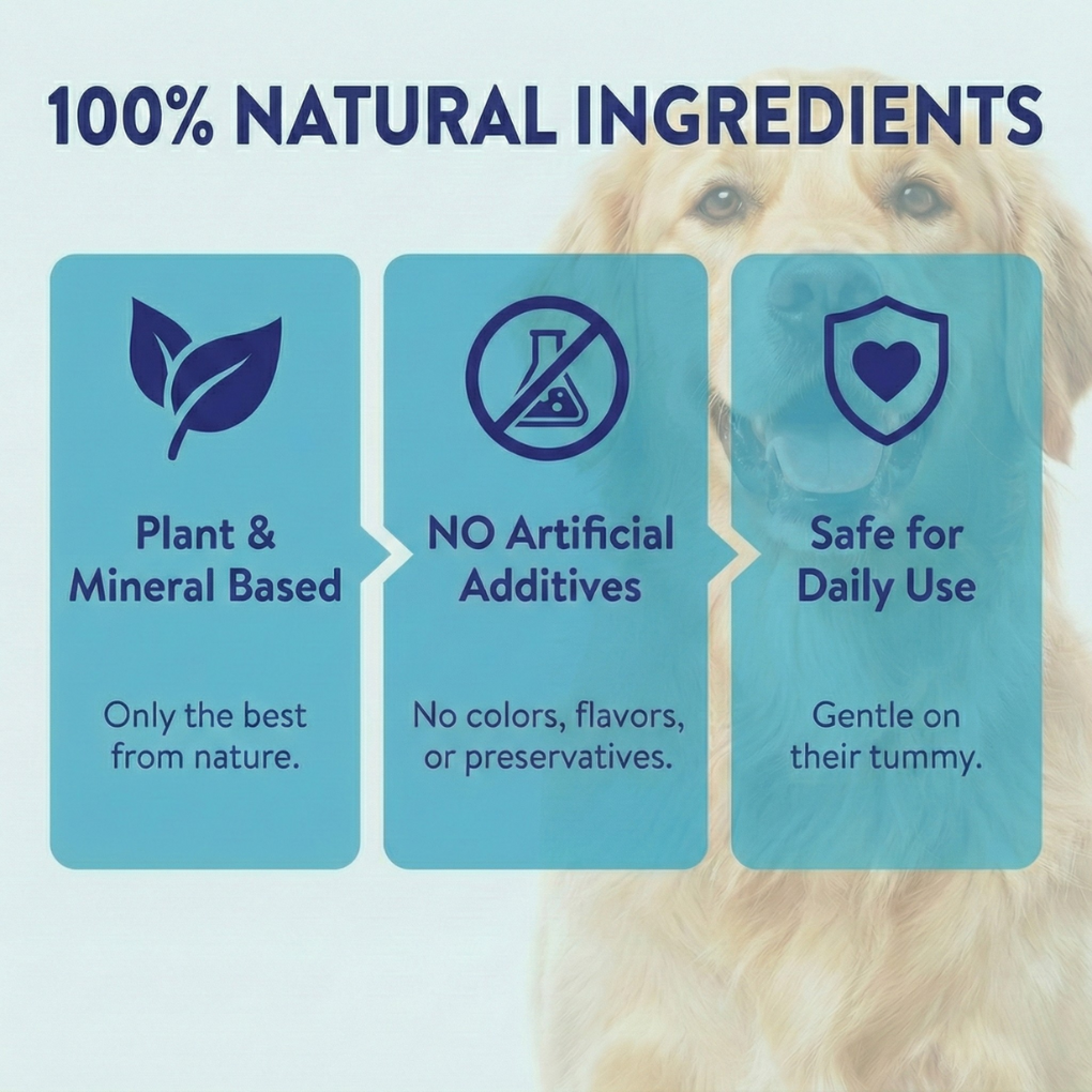 DentalPets™ | Natural Cleaning Powder