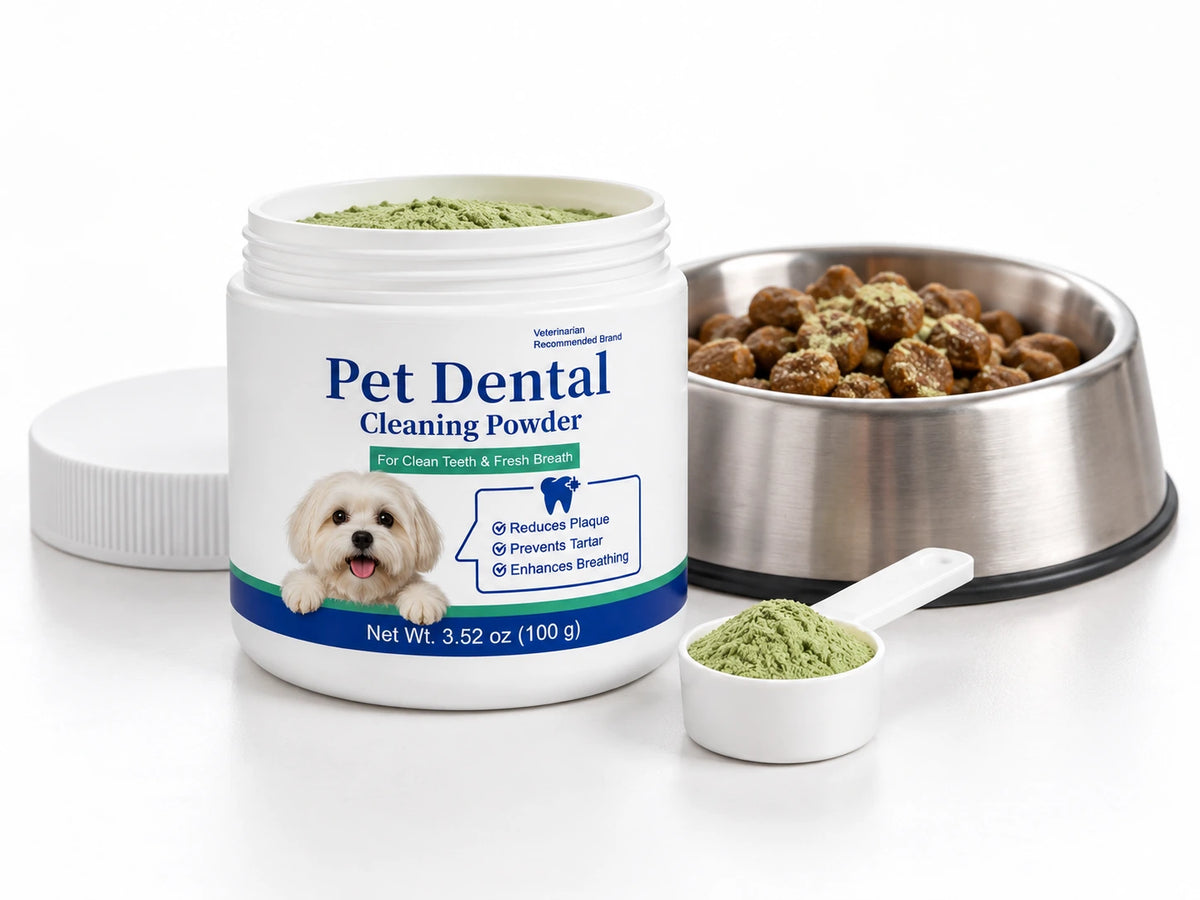 DentalPets daily dental powder tub, scoop and a dog's food bowl