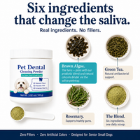 Dental Pets™ | Daily Dental Powder