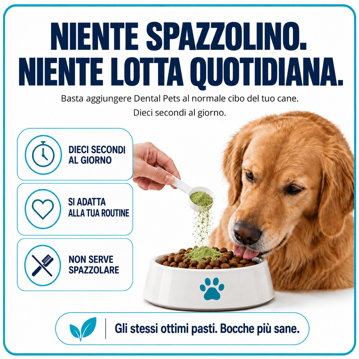 DentalPets – Polvo diario para perros: dientes limpios y aliento fresco \ italia