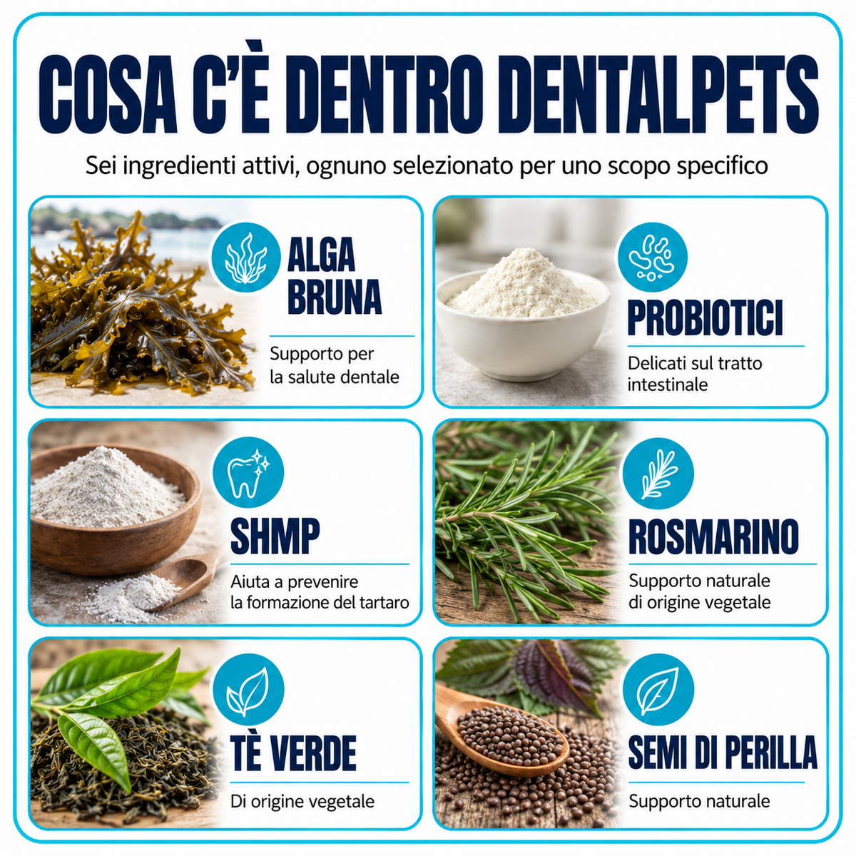 DentalPets – Polvo diario para perros: dientes limpios y aliento fresco \ italia
