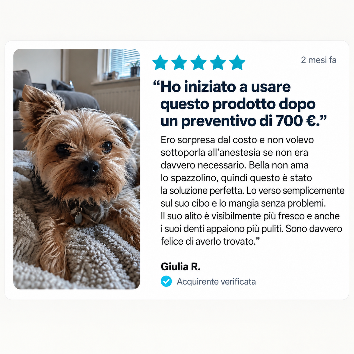 DentalPets – Polvo diario para perros: dientes limpios y aliento fresco \ italia