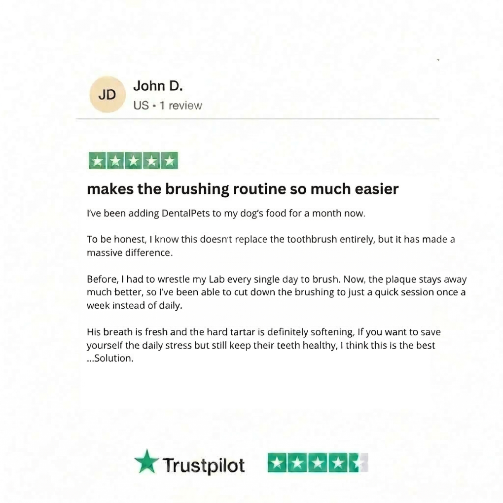 Dental Pets™ | Natural Cleaning Powder