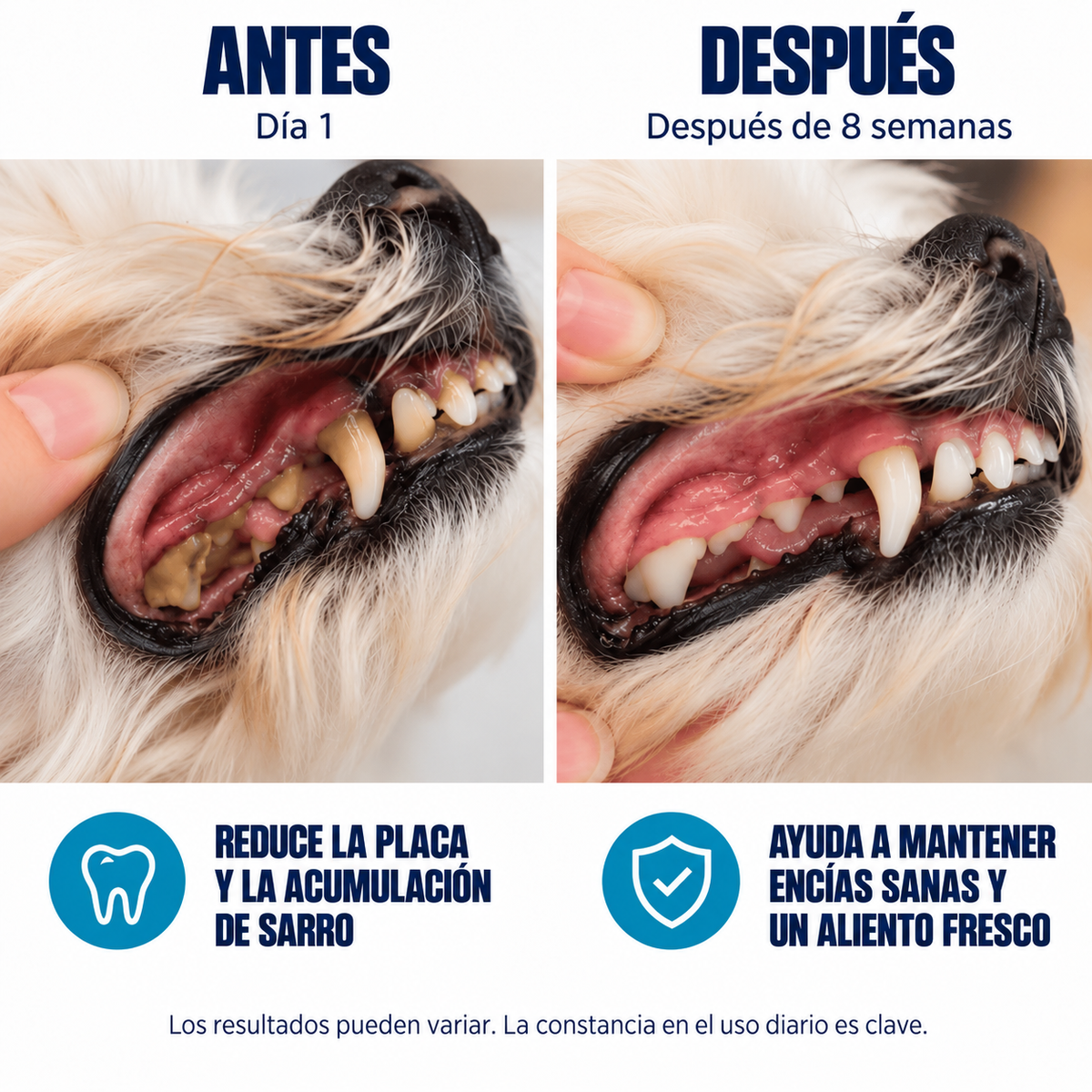 DentalPets – Polvo diario para perros: dientes limpios y aliento fresco