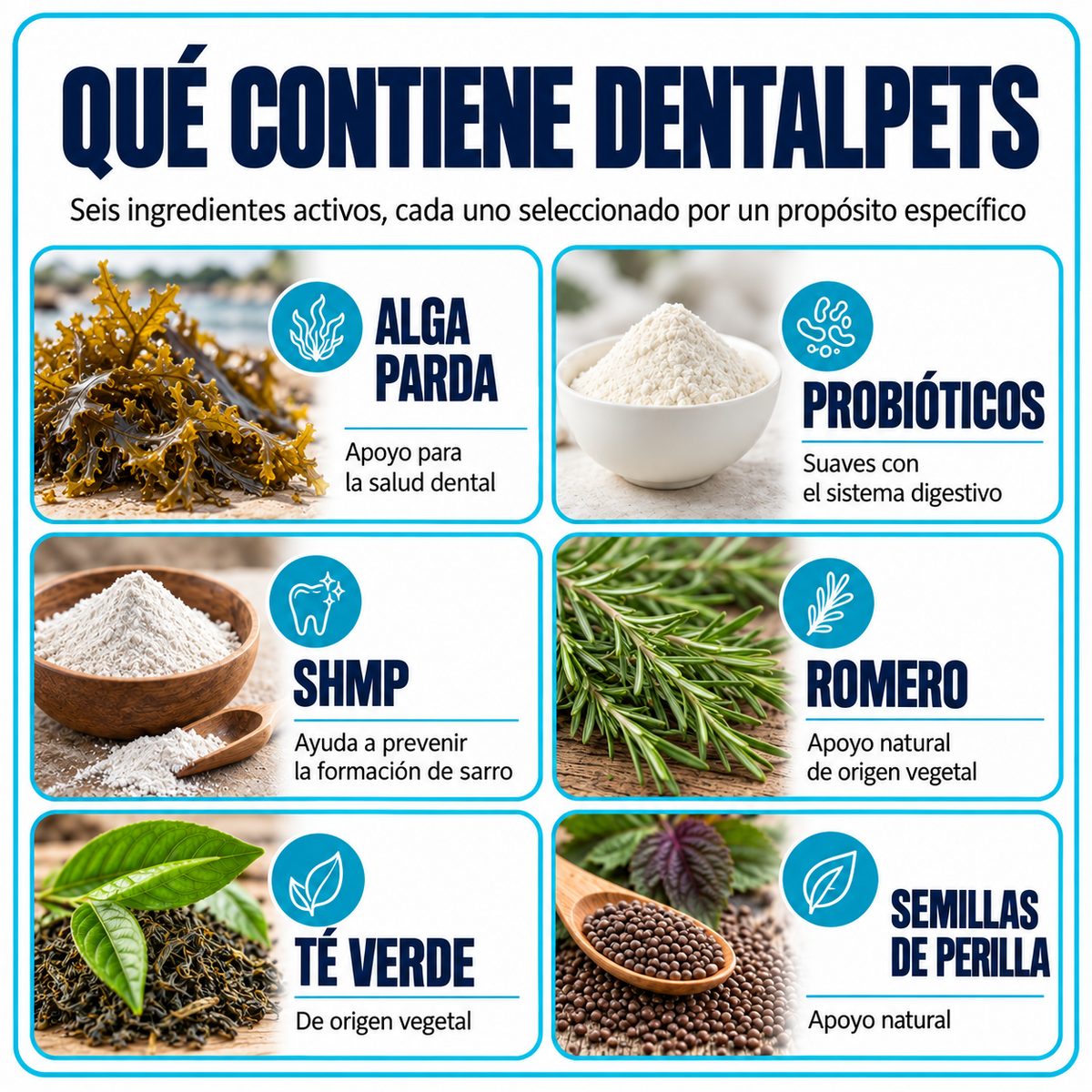 DentalPets – Polvo diario para perros: dientes limpios y aliento fresco