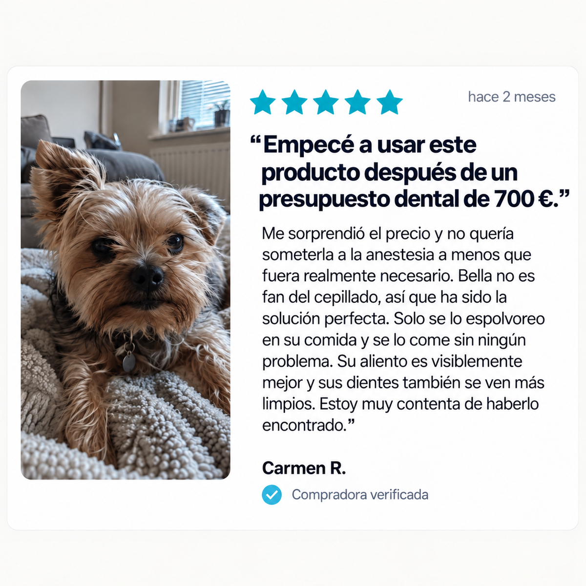 DentalPets – Polvo diario para perros: dientes limpios y aliento fresco