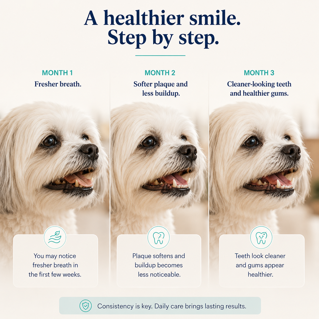 Dental Pets™ | Daily Dental Powder